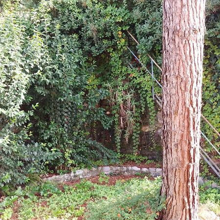 圣玛格丽塔－利古雷Casa Tina公寓 外观 照片